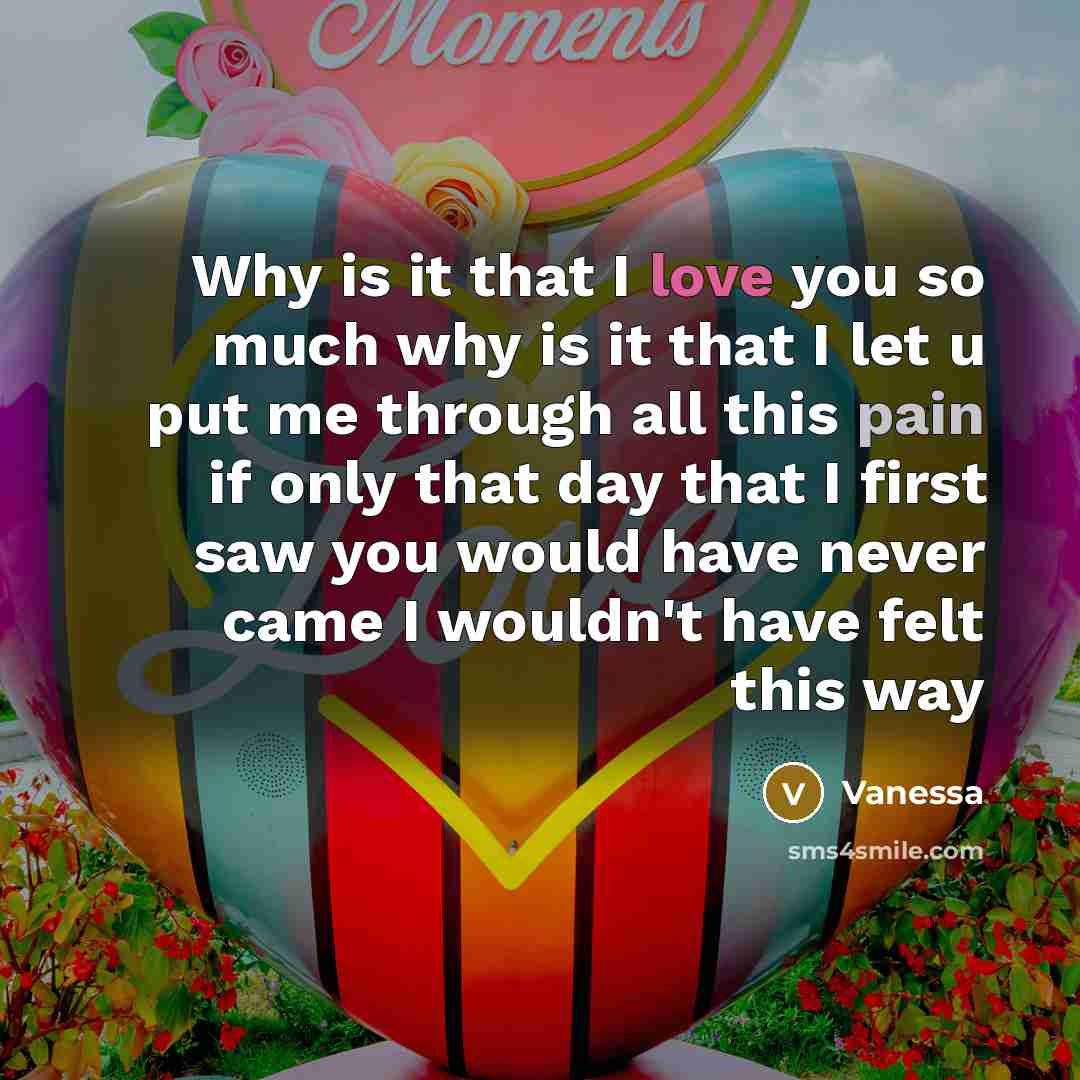 “Why is it that I love you so much why is it that I let u put me through all this pain if only that day that I first saw you would have never came I wouldn't have felt this way” quote by Vanessa