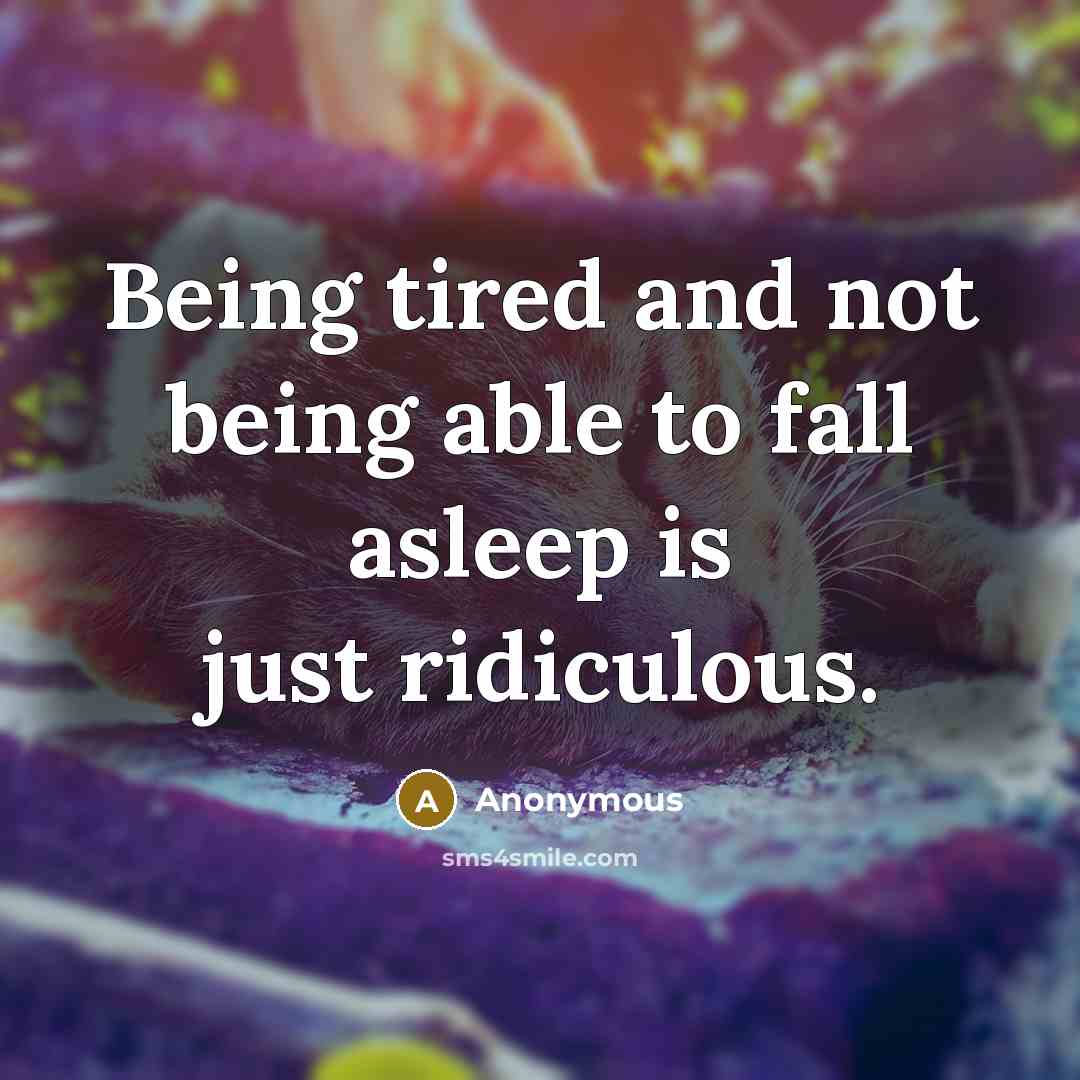 “Being tired and not being able to fall asleep is just ridiculous.” quote by Anonymous