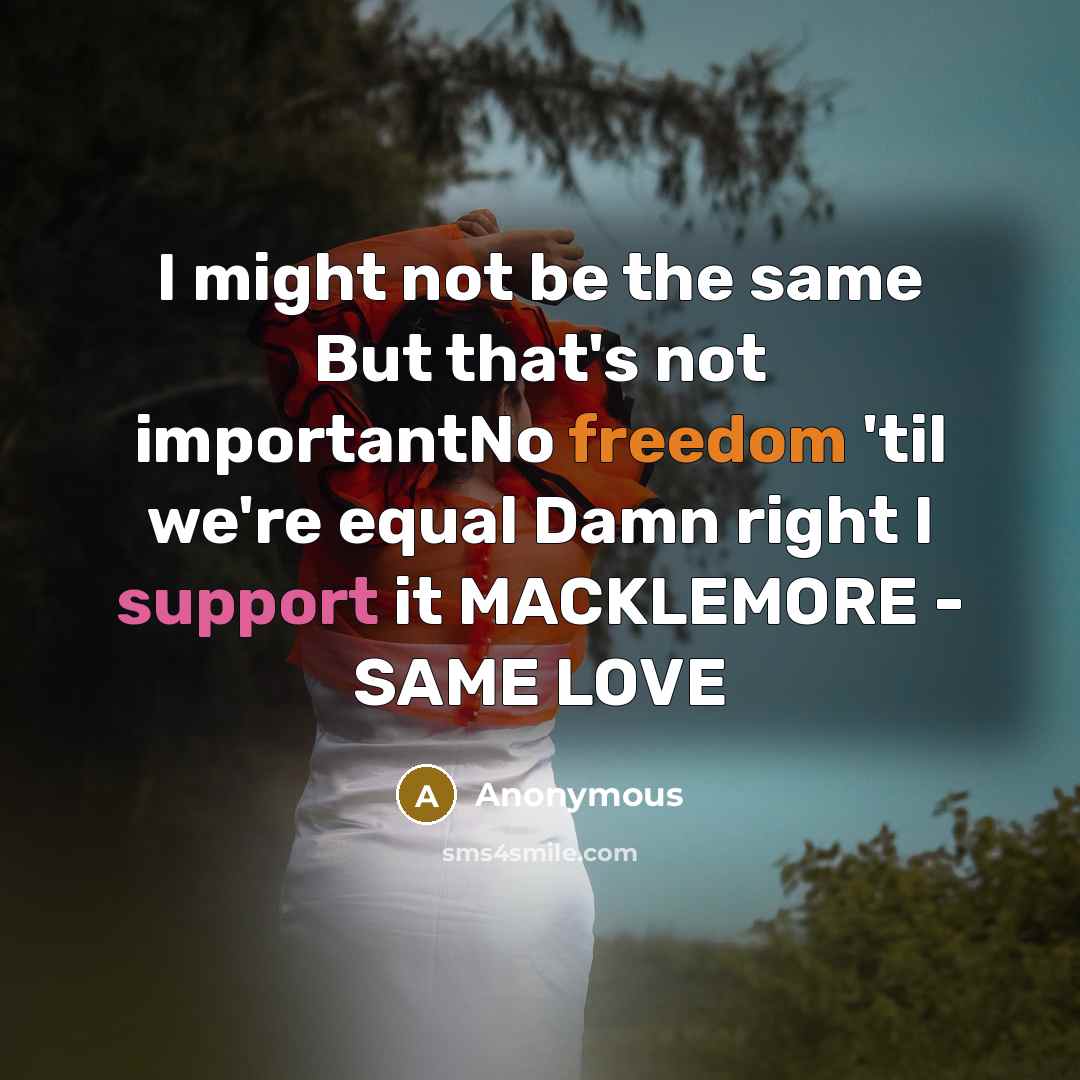 “I might not be the same But that's not importantNo freedom 'til we're equal Damn right I support it MACKLEMORE - SAME LOVE” quote by Anonymous