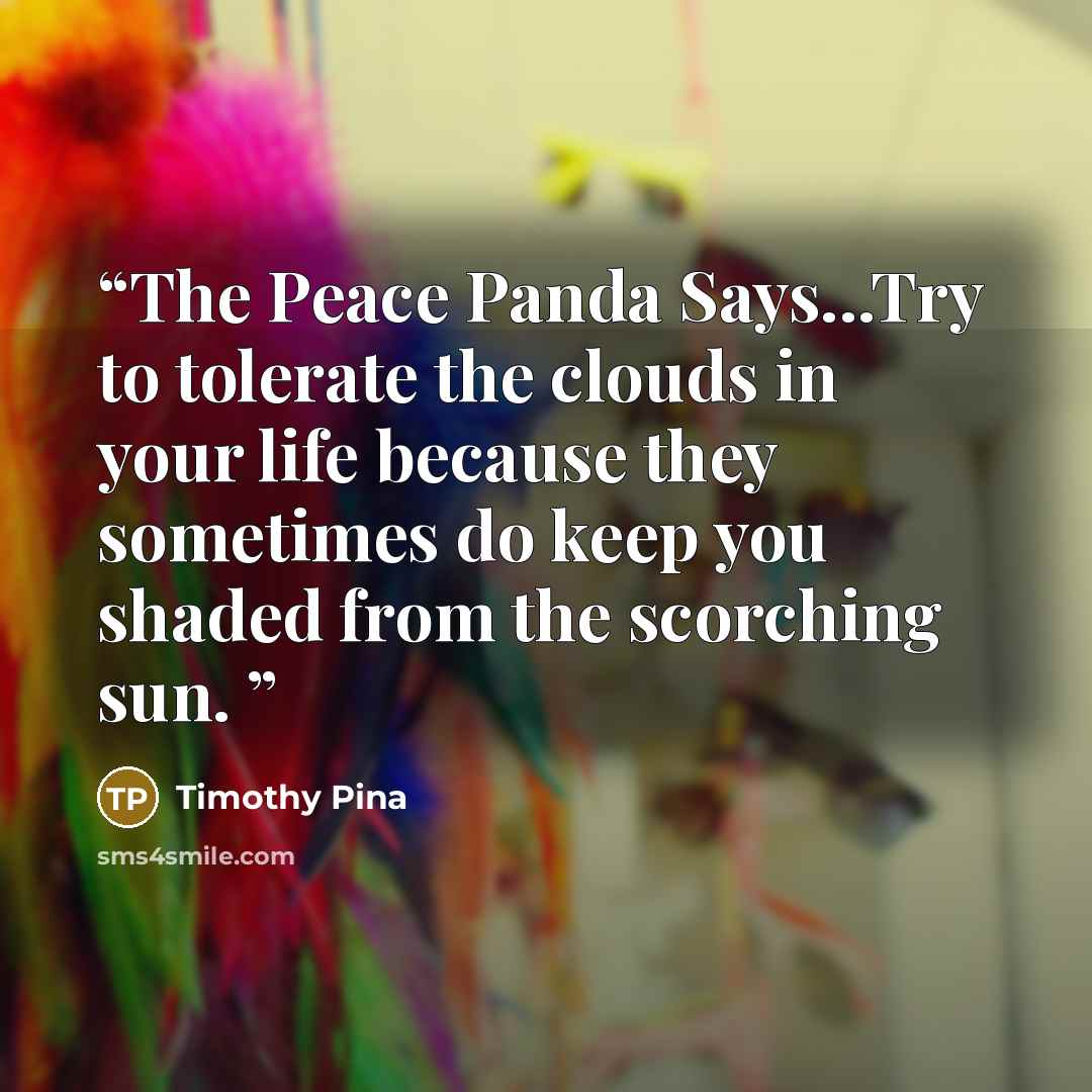 “The Peace Panda Says...Try to tolerate the clouds in your life because they sometimes do keep you shaded from the scorching sun.” quote by Timothy Pina