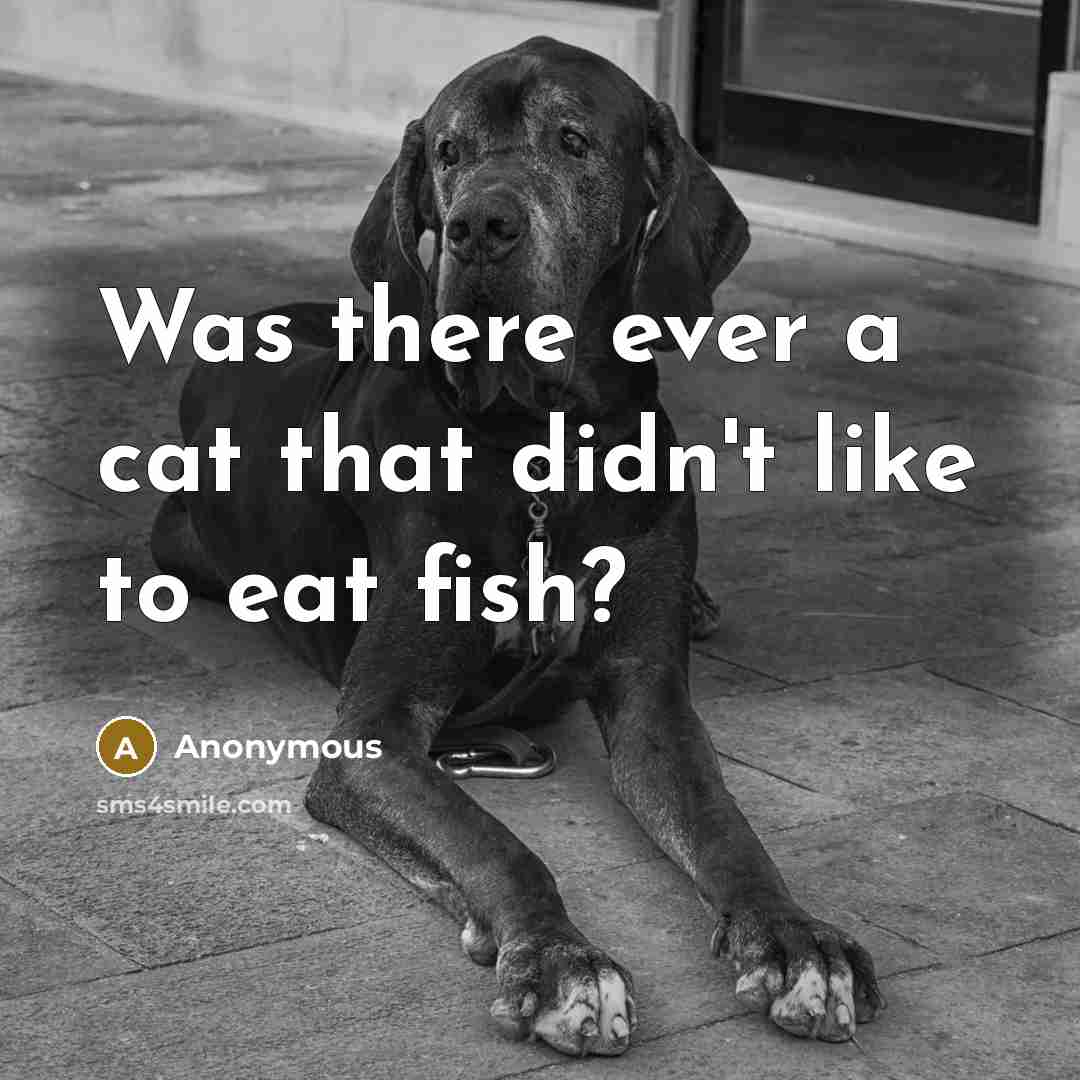 “Was there ever a cat that didn't like to eat fish?” quote by Anonymous