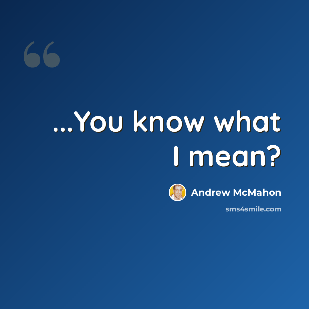 “...You know what I mean?” quote by Andrew McMahon