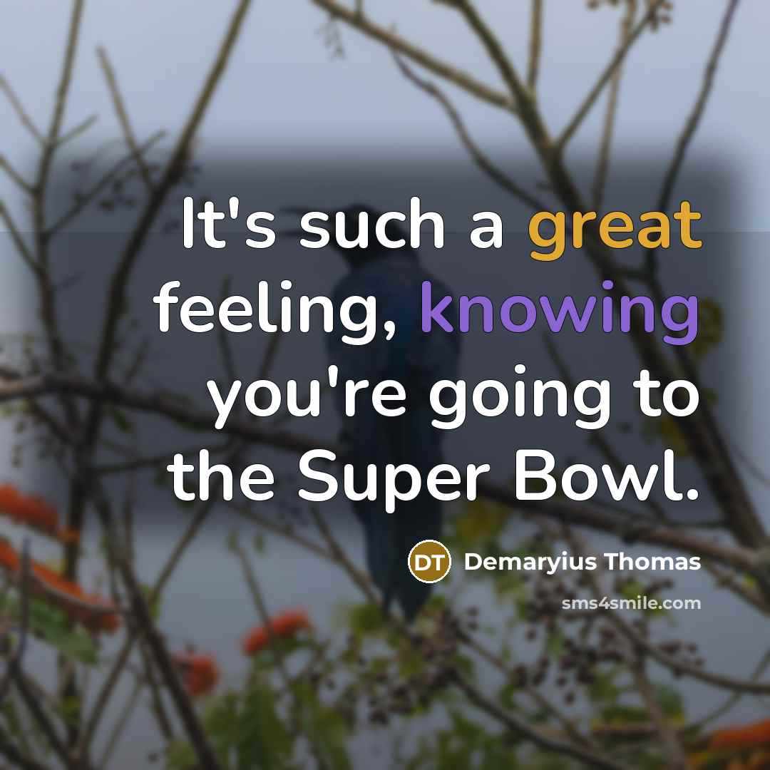 “It's such a great feeling, knowing you're going to the Super Bowl.” quote by Demaryius Thomas