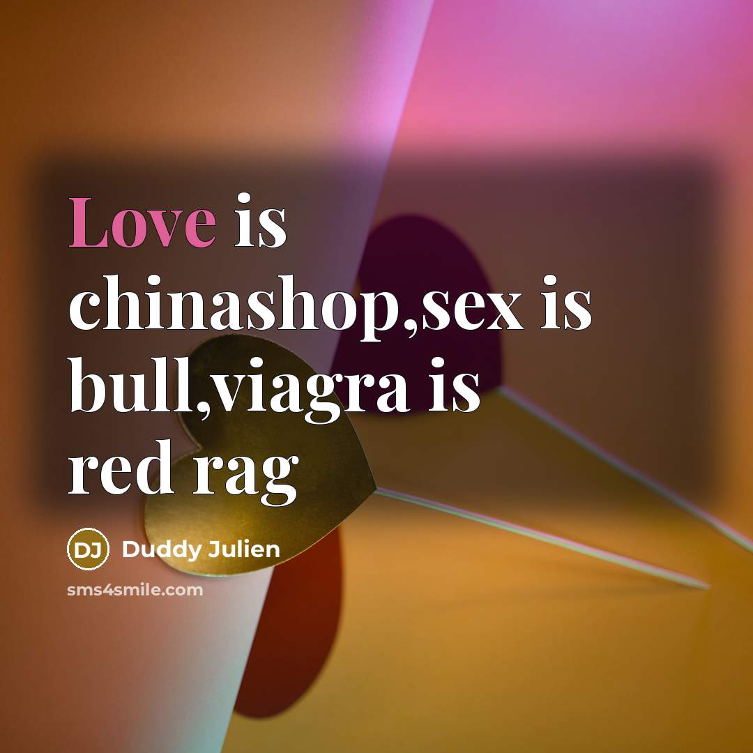 “Love is chinashop,sex is bull,viagra is red rag” quote by Duddy Julien