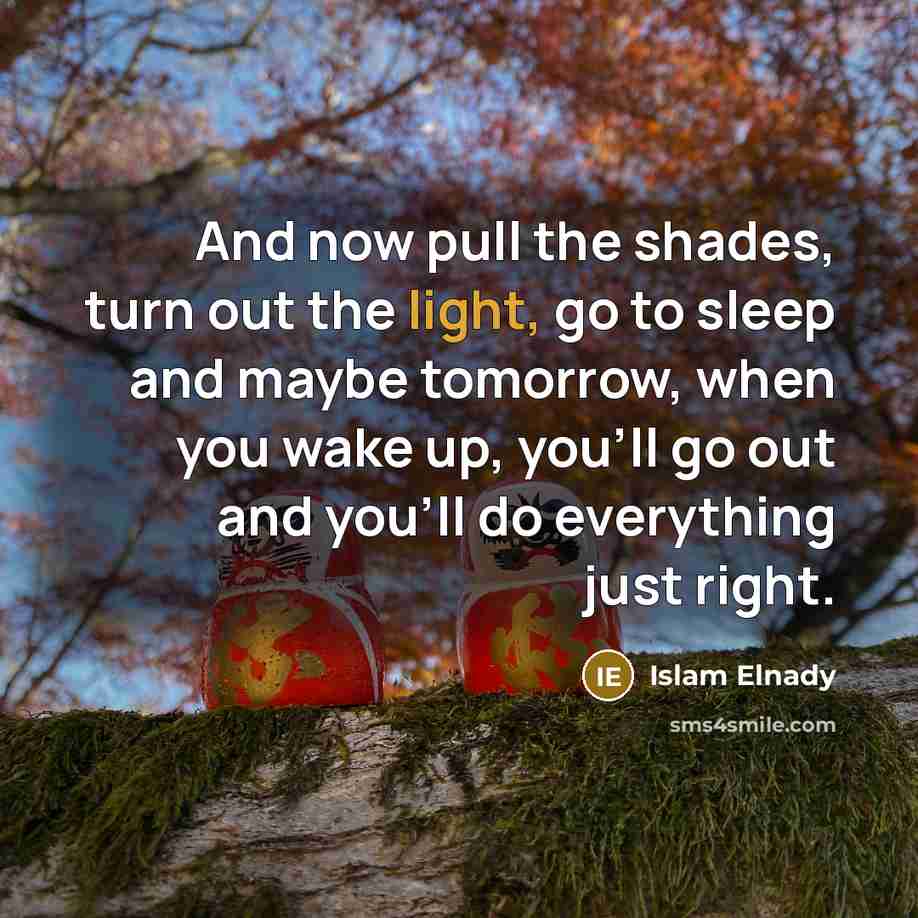 “And now pull the shades, turn out the light, go to sleep and maybe tomorrow, when you wake up, you'll go out and you'll do everything just right.” quote by Islam Elnady
