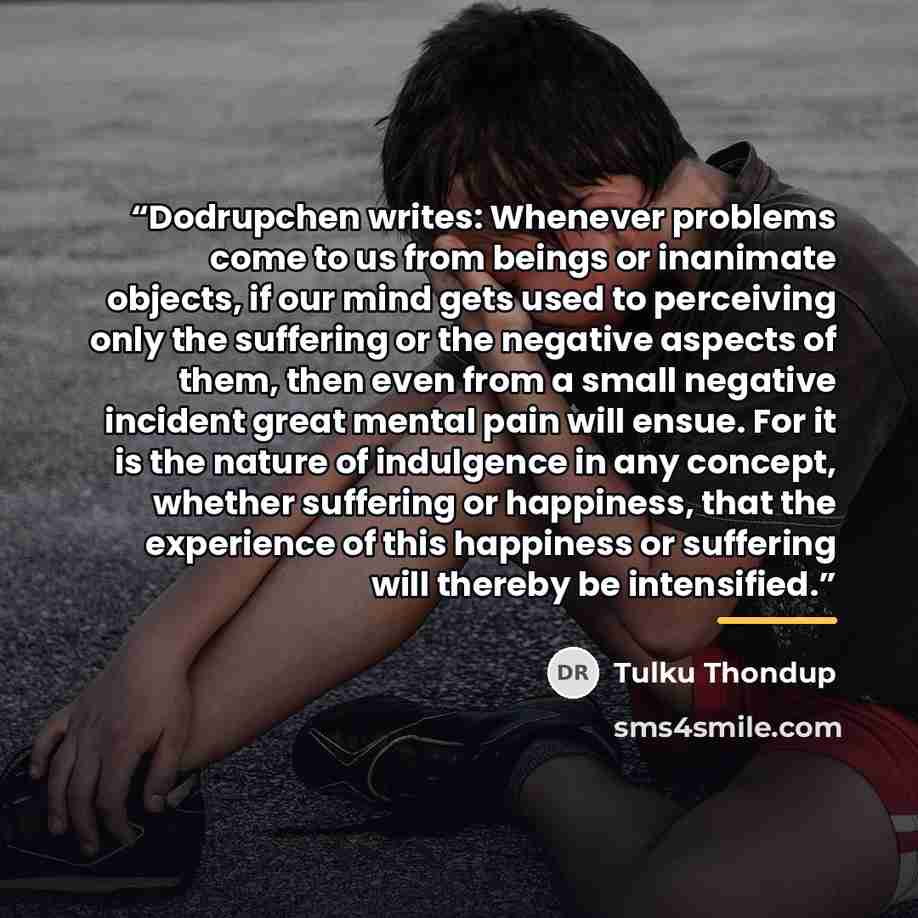 “Dodrupchen writes: Whenever problems come to us from beings or inanimate objects, if our mind gets used to perceiving only the suffering or the negative aspects of them, then even from a small negative incident great mental pain will ensue. For it is the nature of indulgence in any concept…” quote by Tulku Thondup
