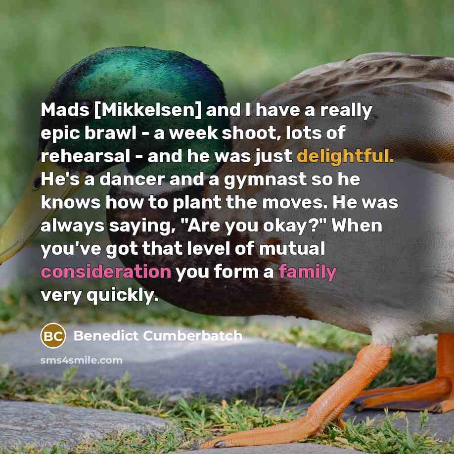 “Mads [Mikkelsen] and I have a really epic brawl - a week shoot, lots of rehearsal - and he was just delightful. He's a dancer and a gymnast so he knows how to plant the moves. He was always saying, "Are you okay?" When you've got that level of mutual consideration you form a family very quickly.” quote by Benedict Cumberbatch