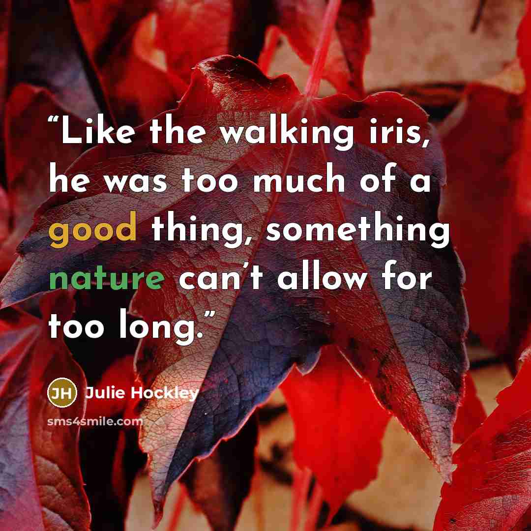 “Like the walking iris, he was too much of a good thing, something nature can’t allow for too long.” quote by Julie Hockley
