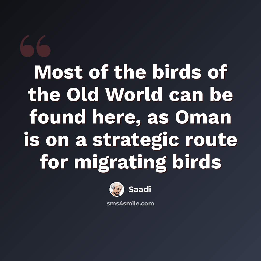 “Most of the birds of the Old World can be found here, as Oman is on a strategic route for migrating birds” quote by Saadi