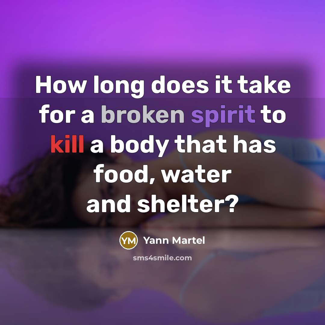 “How long does it take for a broken spirit to kill a body that has food, water and shelter?” quote by Yann Martel