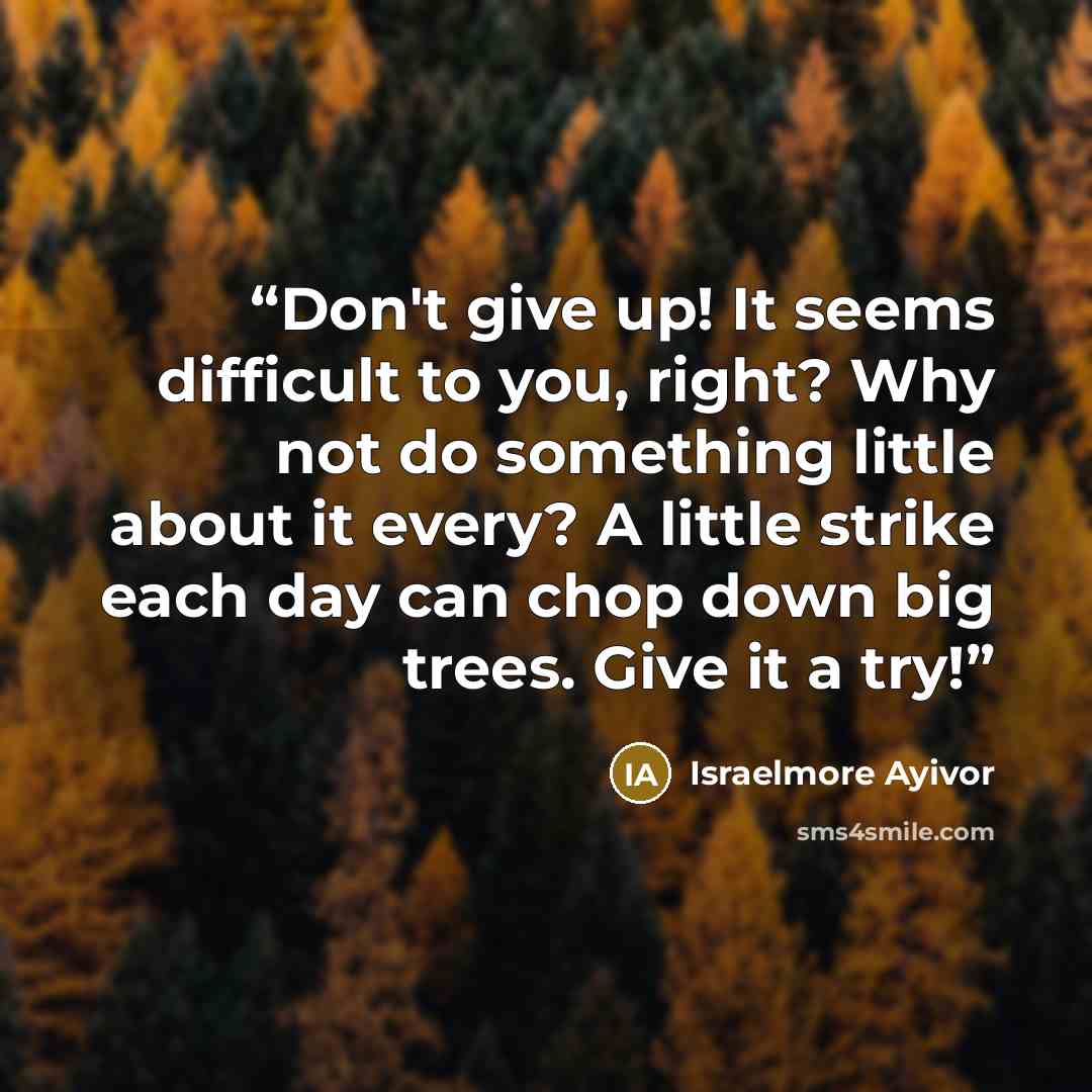 “Don't give up! It seems difficult to you, right? Why not do something little about it every? A little strike each day can chop down big trees. Give it a try!” quote by Israelmore Ayivor
