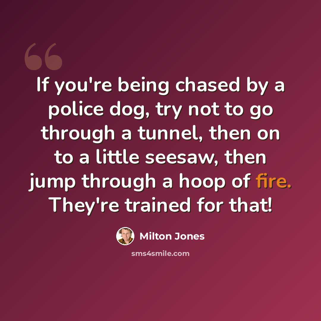 “If you're being chased by a police dog, try not to go through a tunnel, then on to a little seesaw, then jump through a hoop of fire. They're trained for that!” quote by Milton Jones