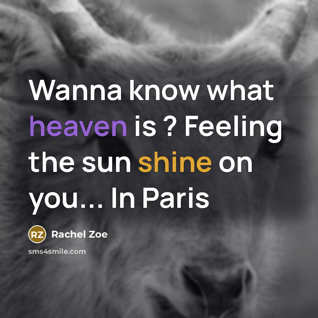 “Wanna know what heaven is ? Feeling the sun shine on you... In Paris” quote by Rachel Zoe