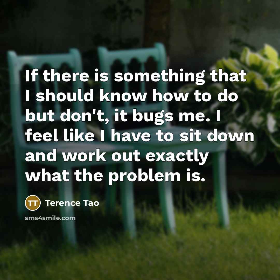 “If there is something that I should know how to do but don't, it bugs me. I feel like I have to sit down and work out exactly what the problem is.” quote by Terence Tao