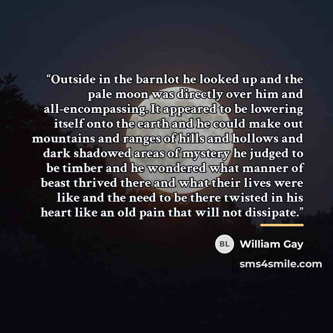 “Outside in the barnlot he looked up and the pale moon was directly over him and all-encompassing. It appeared to be lowering itself onto the earth and he could make out mountains and ranges of hills and hollows and dark shadowed areas of mystery he judged to be timber and he wondered what manner…” quote by William Gay