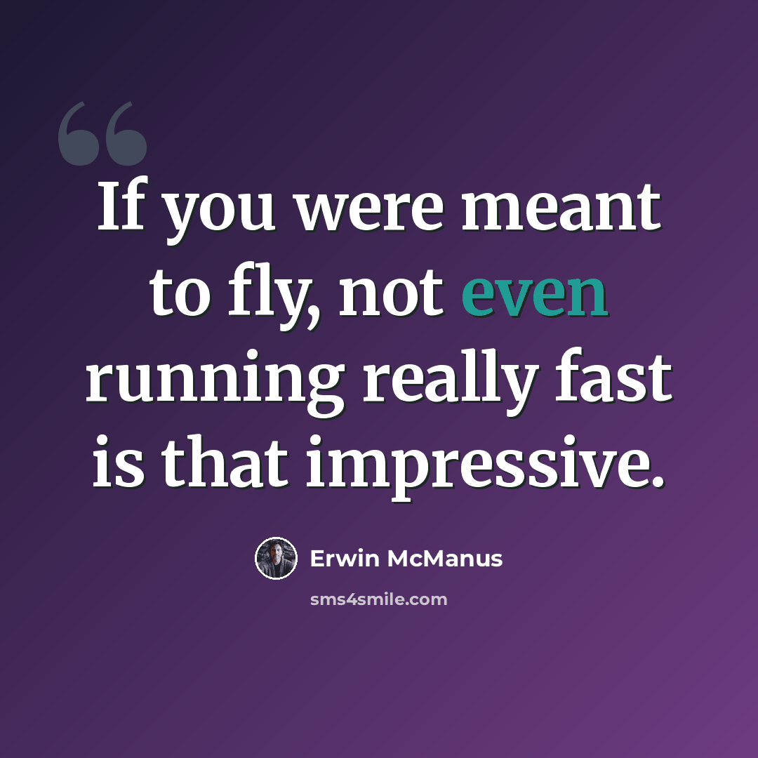 “If you were meant to fly, not even running really fast is that impressive.” quote by Erwin McManus