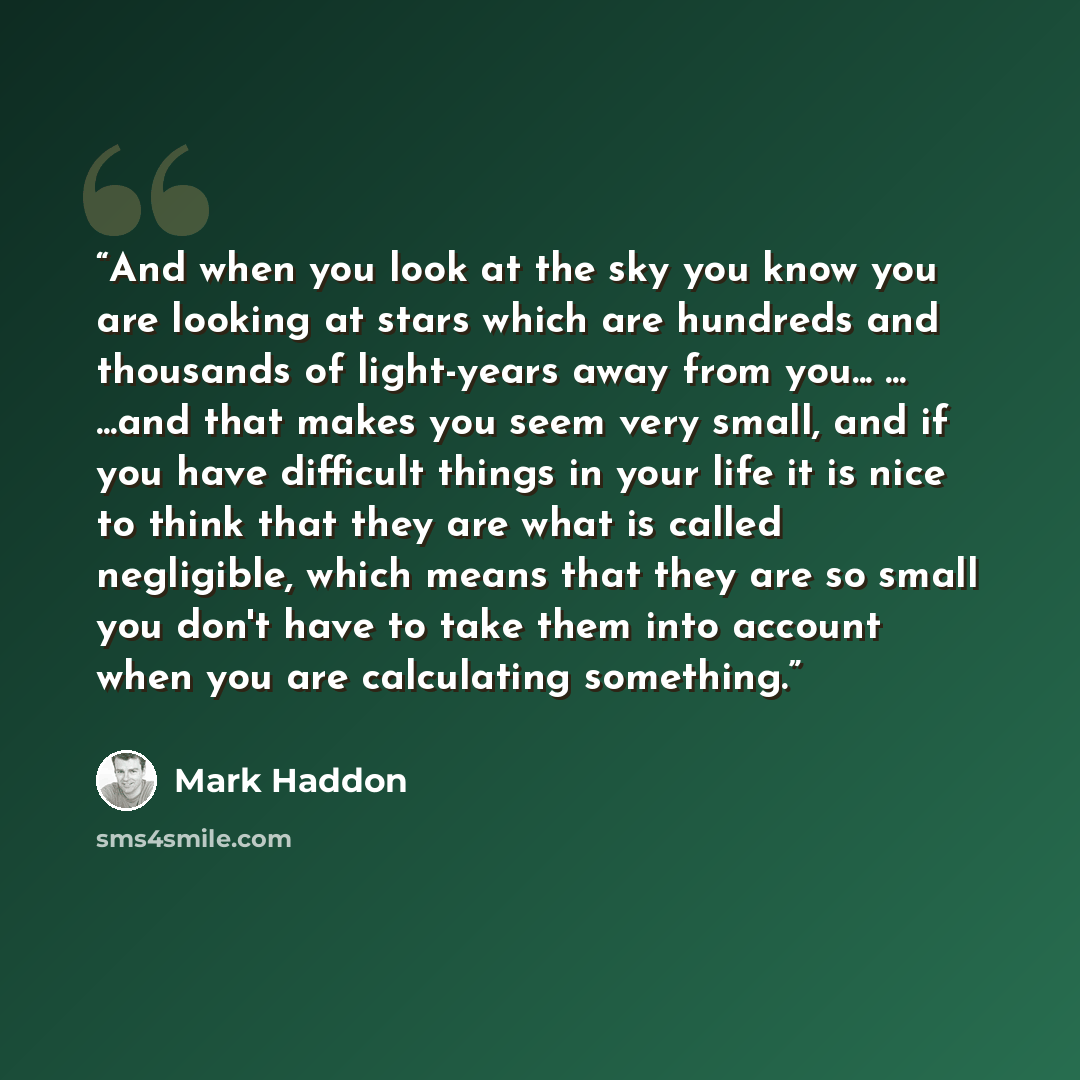 “And when you look at the sky you know you are looking at stars which are hundreds and thousands of light-years away from you... ... ...and that makes you seem very small, and if you have difficult things in your life it is nice to think that they are what is called negligible, which means that…” quote by Mark Haddon