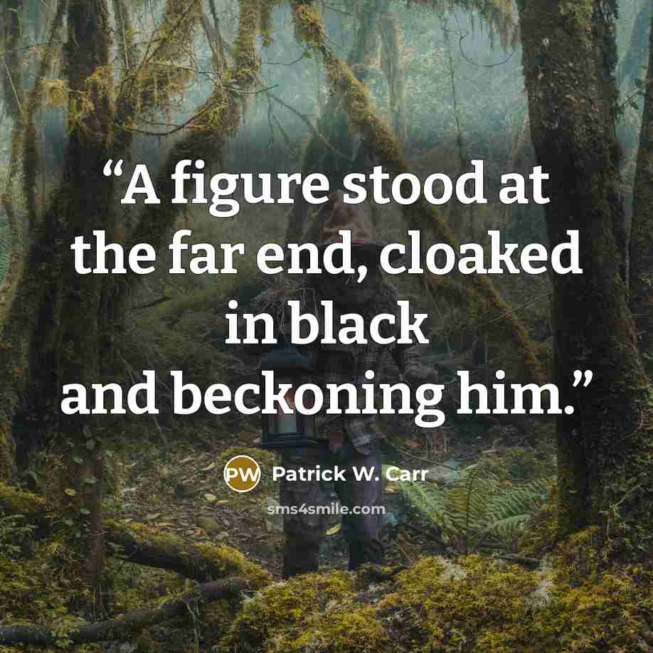“A figure stood at the far end, cloaked in black and beckoning him.” quote by Patrick W. Carr