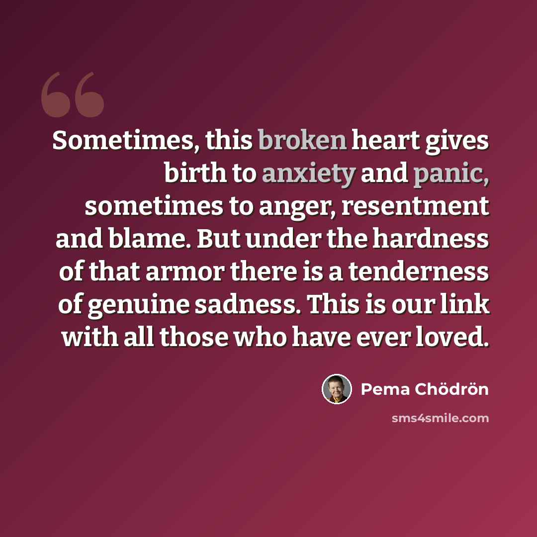 “Sometimes, this broken heart gives birth to anxiety and panic, sometimes to anger, resentment and blame. But under the hardness of that armor there is a tenderness of genuine sadness. This is our link with all those who have ever loved.” quote by Pema Chodron