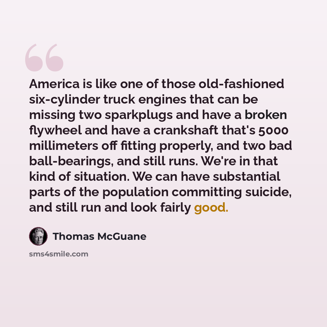 “America is like one of those old-fashioned six-cylinder truck engines that can be missing two sparkplugs and have a broken flywheel and have a crankshaft that's 5000 millimeters off fitting properly, and two bad ball-bearings, and still runs. We're in that kind of situation. We can have…” quote by Thomas McGuane
