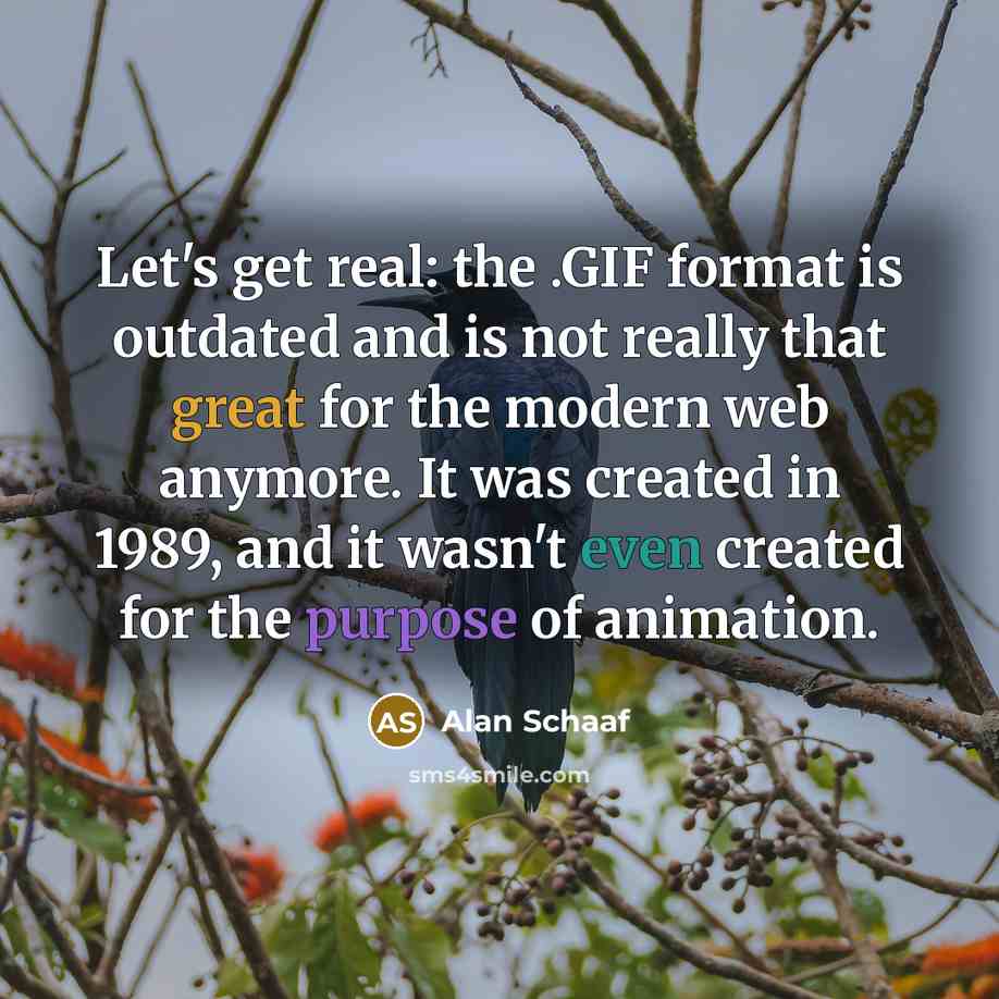 “Let's get real: the .GIF format is outdated and is not really that great for the modern web anymore. It was created in 1989, and it wasn't even created for the purpose of animation.” quote by Alan Schaaf