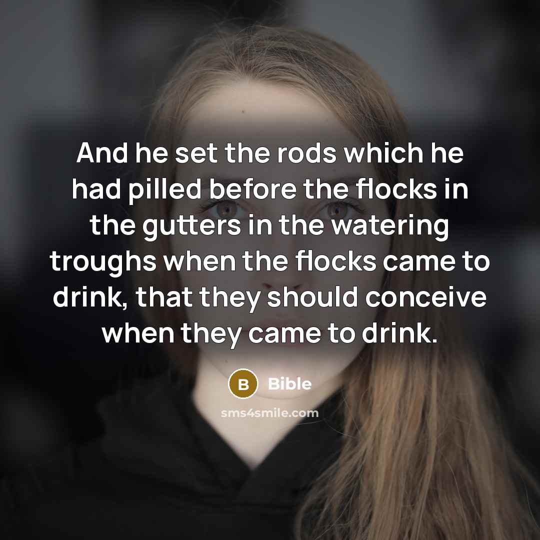 “And he set the rods which he had pilled before the flocks in the gutters in the watering troughs when the flocks came to drink, that they should conceive when they came to drink.” quote by Bible