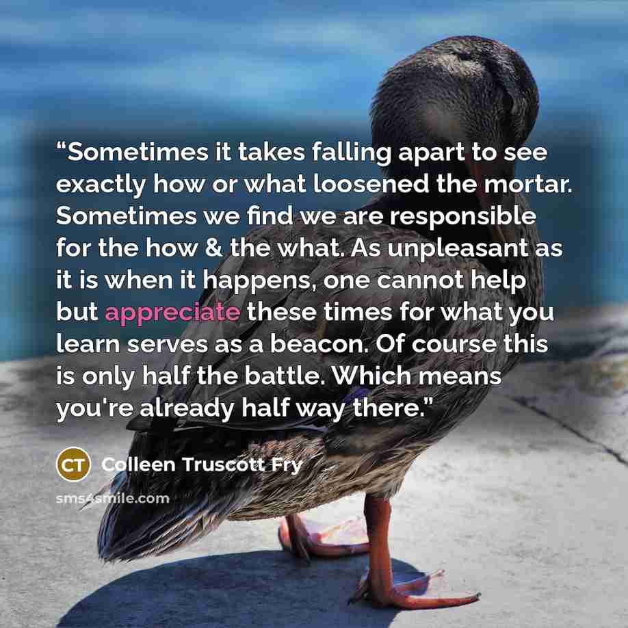 “Sometimes it takes falling apart to see exactly how or what loosened the mortar. Sometimes we find we are responsible for the how & the what. As unpleasant as it is when it happens, one cannot help but appreciate these times for what you learn serves as a beacon. Of course this is only half the…” quote by Colleen Truscott Fry