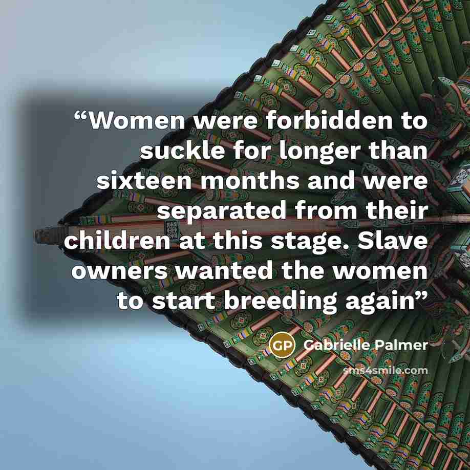 “Women were forbidden to suckle for longer than sixteen months and were separated from their children at this stage. Slave owners wanted the women to start breeding again” quote by Gabrielle Palmer
