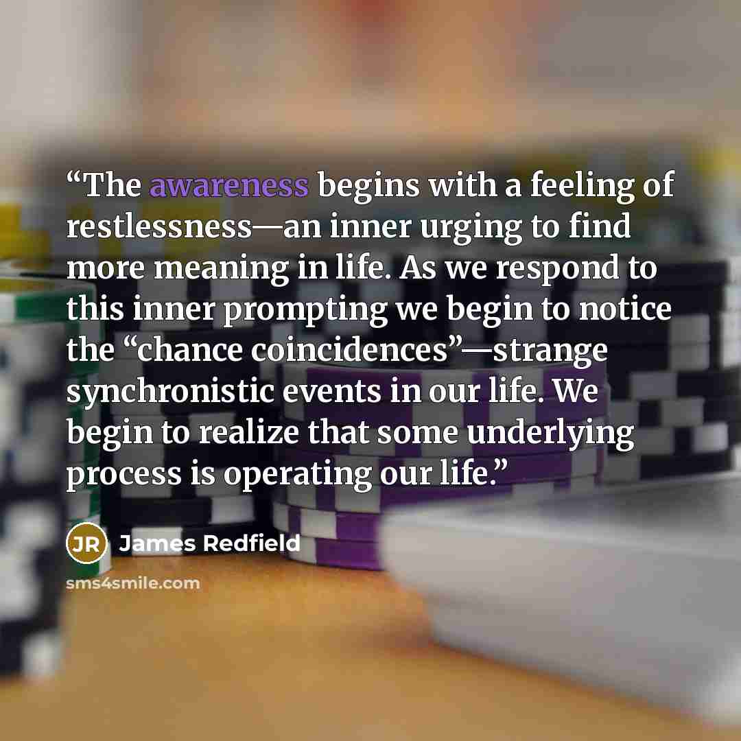 “The awareness begins with a feeling of restlessness—an inner urging to find more meaning in life. As we respond to this inner prompting we begin to notice the “chance coincidences”—strange synchronistic events in our life. We begin to realize that some underlying process is operating our life.” quote by James Redfield