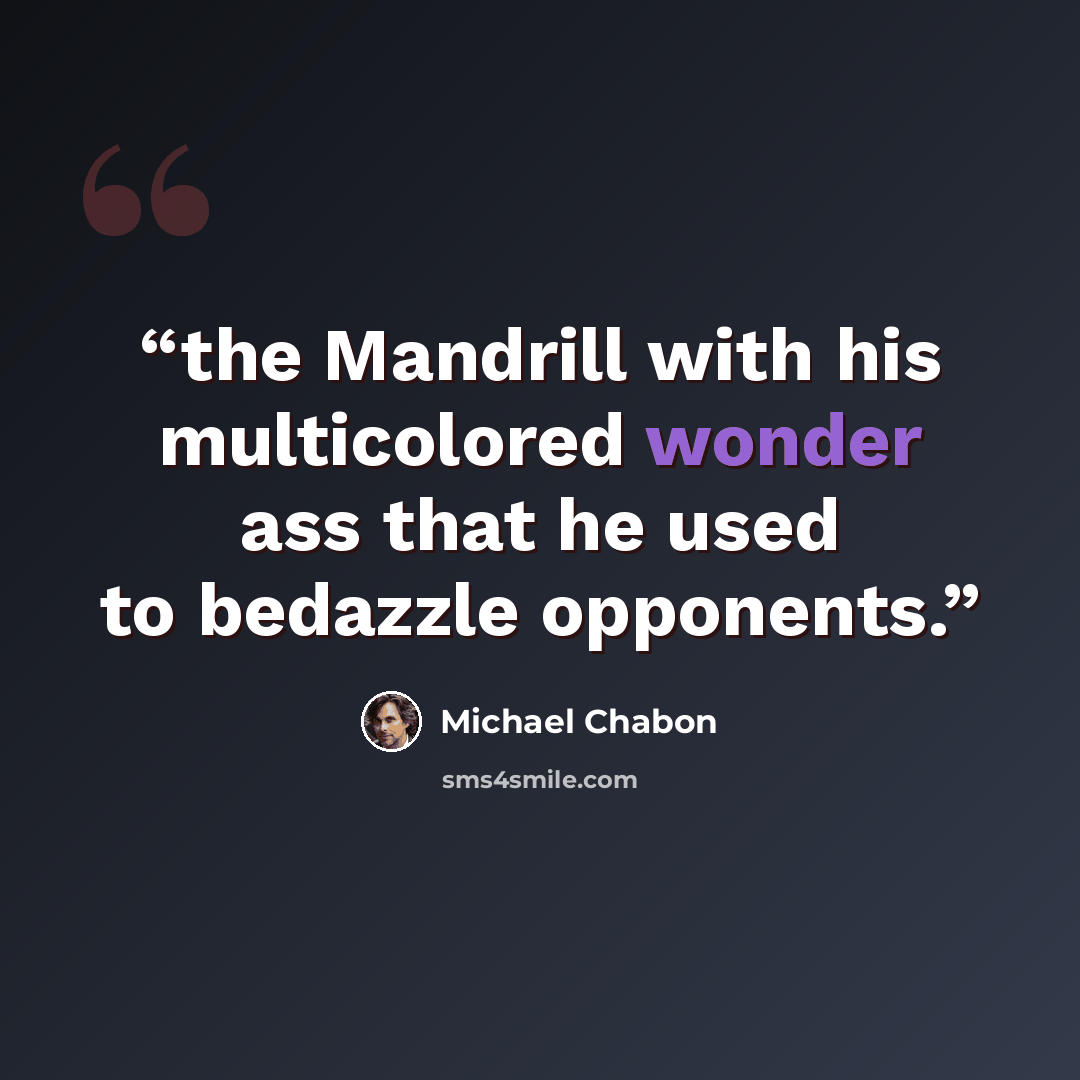 “the Mandrill with his multicolored wonder ass that he used to bedazzle opponents.” quote by Michael Chabon