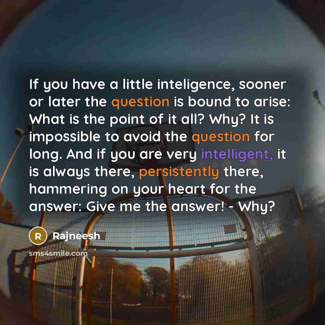 “If you have a little inteligence, sooner or later the question is bound to arise: What is the point of it all? Why? It is impossible to avoid the question for long. And if you are very intelligent, it is always there, persistently there, hammering on your heart for the answer: Give me the answer!…” quote by Rajneesh
