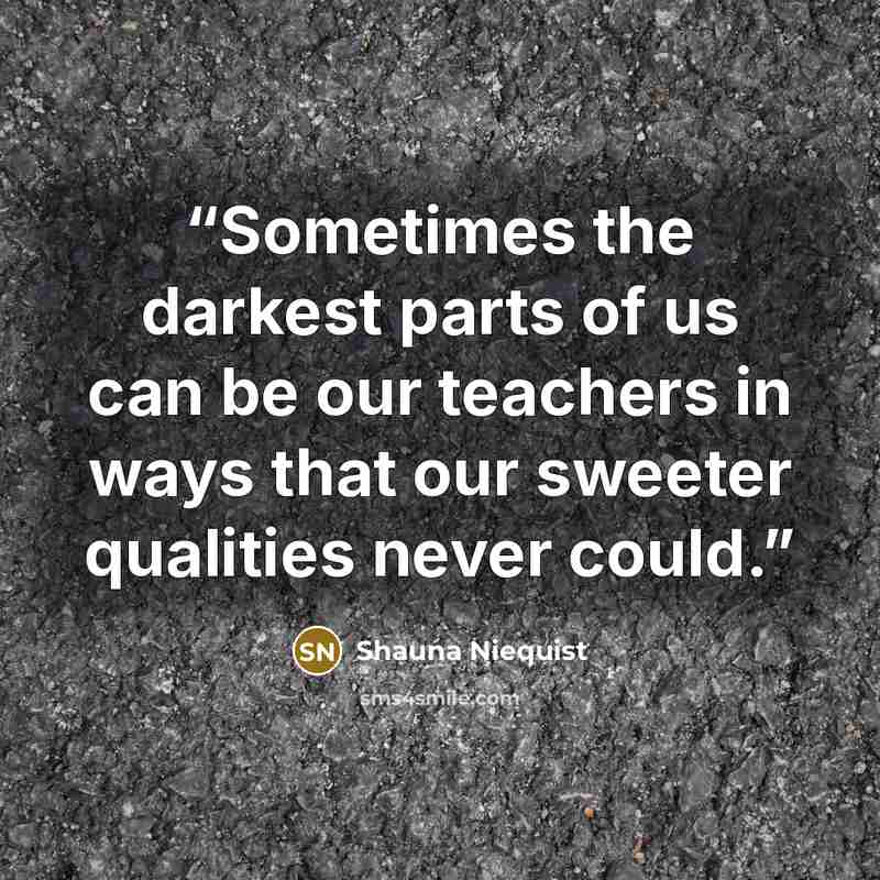 “Sometimes the darkest parts of us can be our teachers in ways that our sweeter qualities never could.” quote by Shauna Niequist
