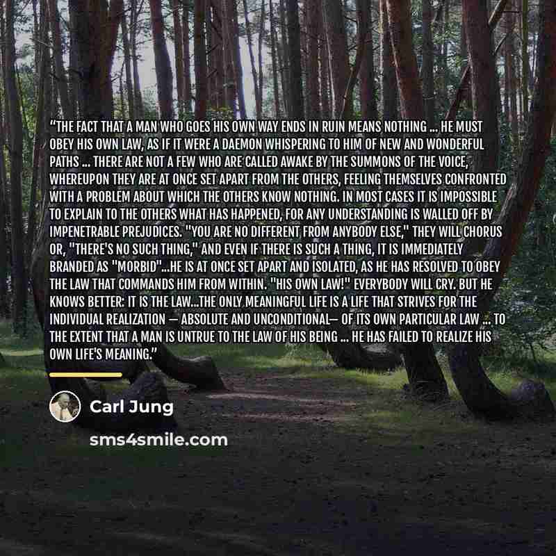 “The fact that a man who goes his own way ends in ruin means nothing ... He must obey his own law, as if it were a daemon whispering to him of new and wonderful paths ... There are not a few who are called awake by the summons of the voice, whereupon they are at once set apart from the others…” quote by Carl Jung