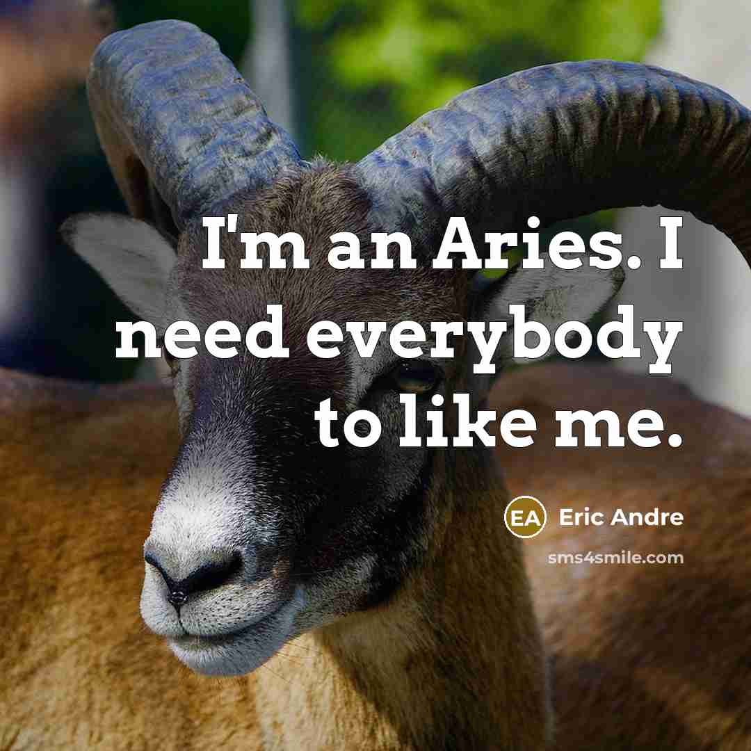 “I'm an Aries. I need everybody to like me.” quote by Eric Andre
