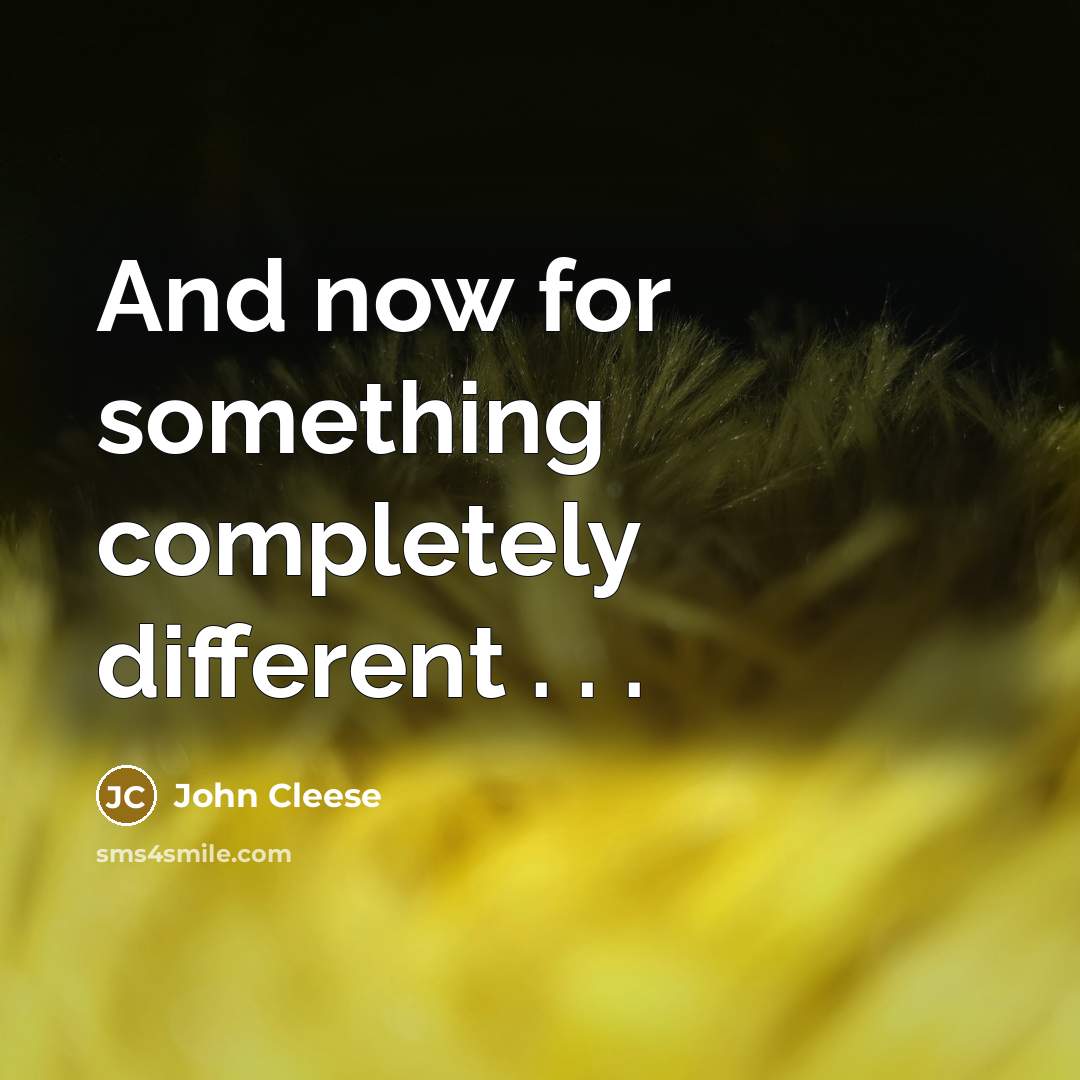 “And now for something completely different . . .” quote by John Cleese