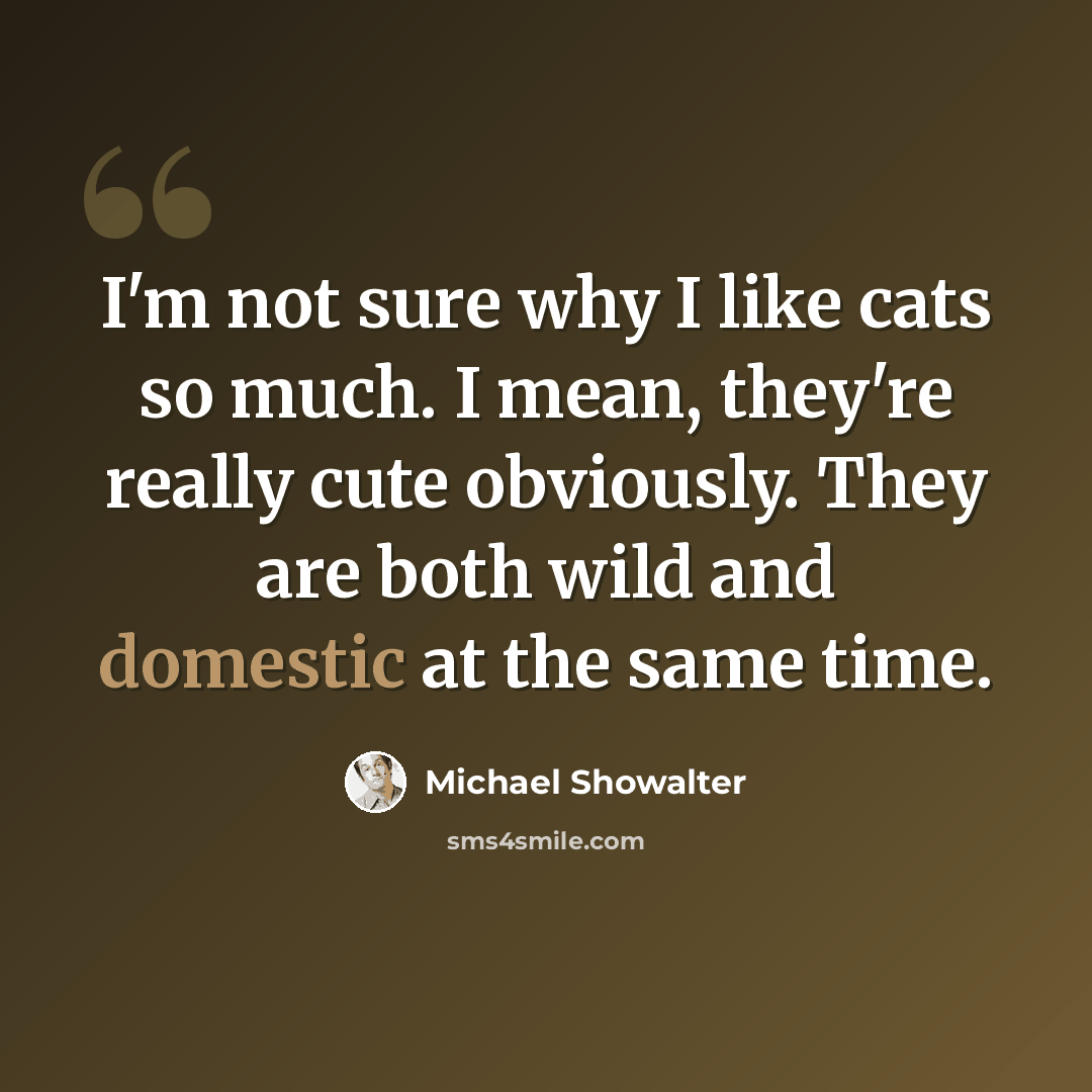 “I'm not sure why I like cats so much. I mean, they're really cute obviously. They are both wild and domestic at the same time.” quote by Michael Showalter