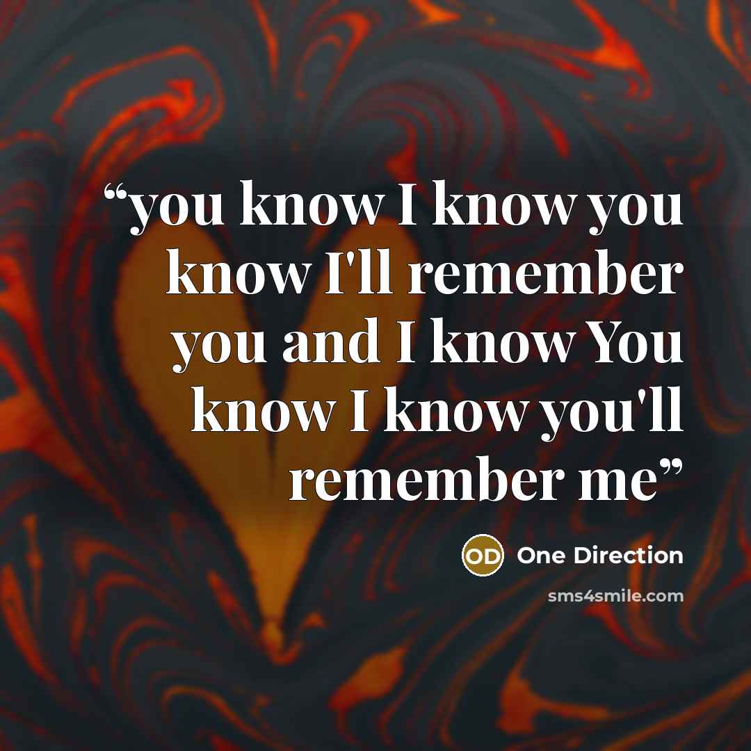 “you know I know you know I'll remember you and I know You know I know you'll remember me” quote by One Direction