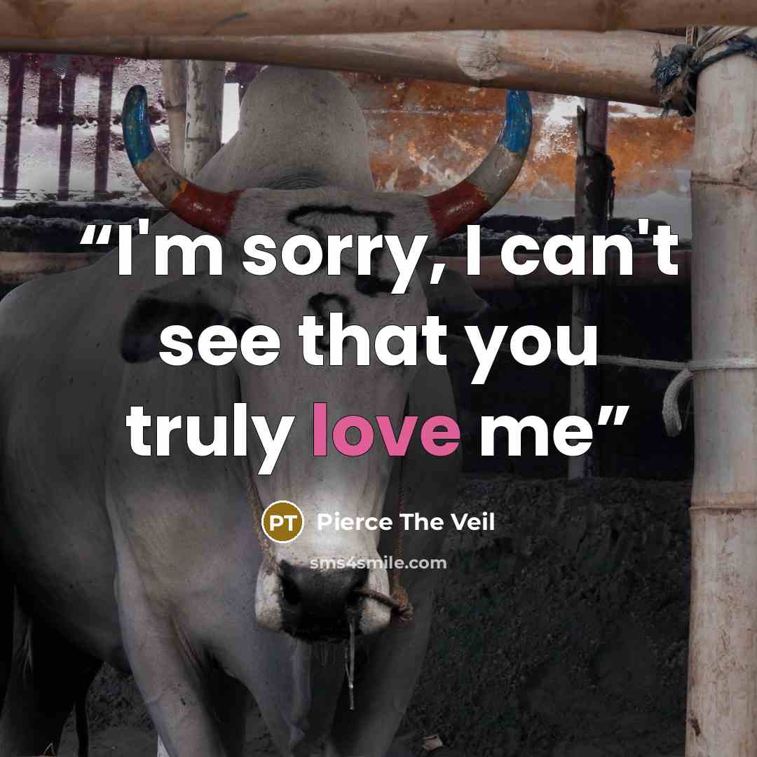 “I'm sorry, I can't see that you truly love me” quote by Pierce the Veil