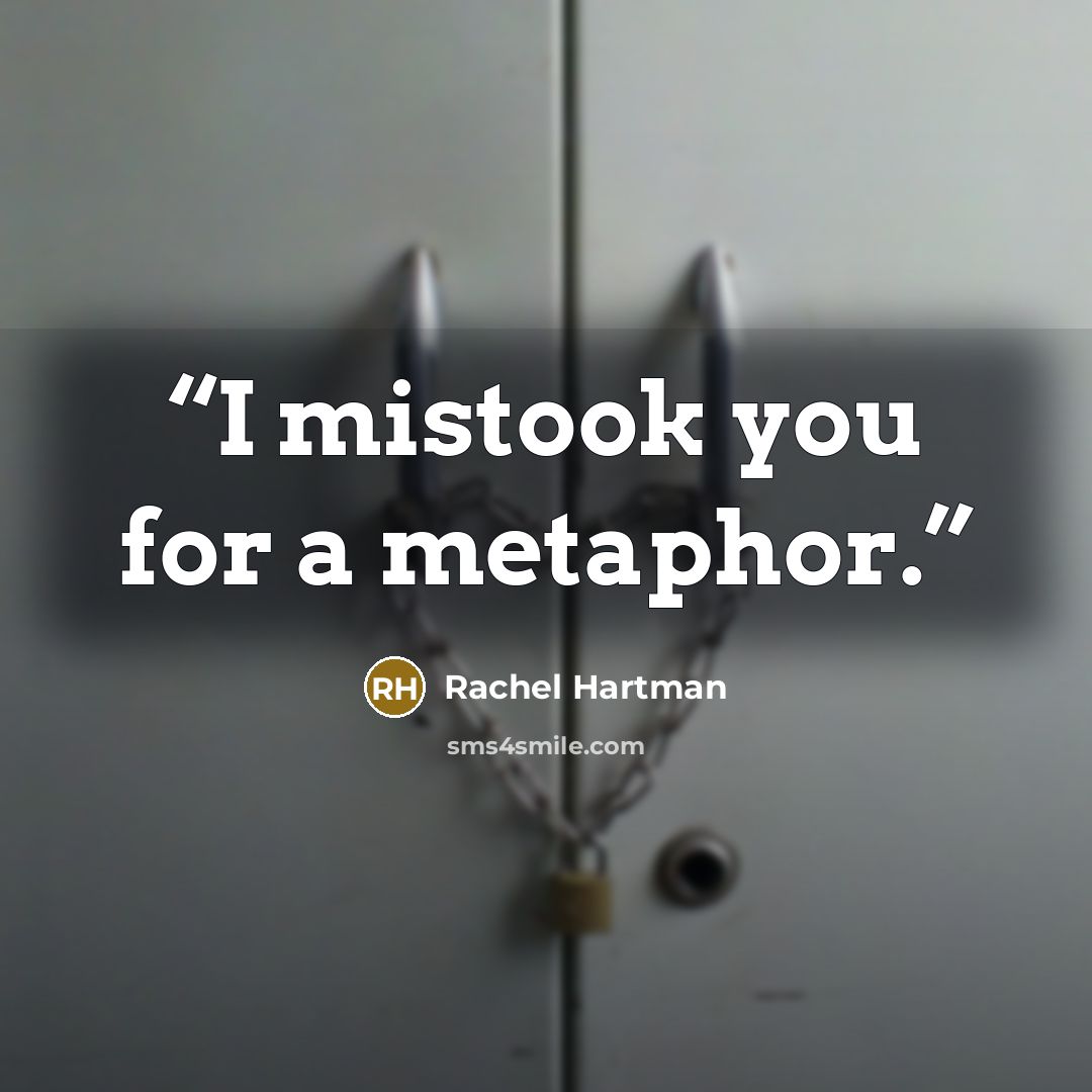 “I mistook you for a metaphor.” quote by Rachel Hartman
