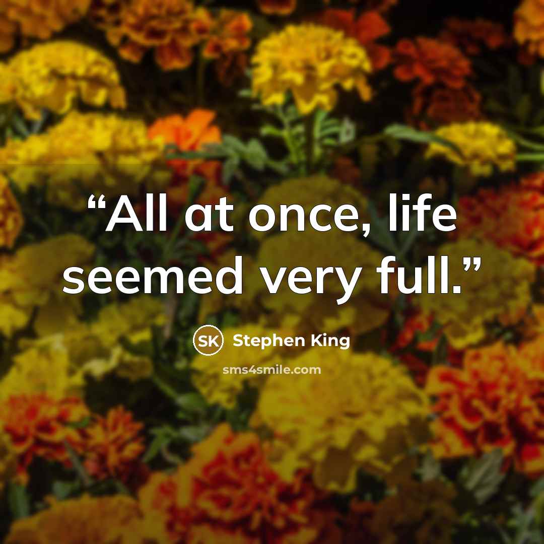 “All at once, life seemed very full.” quote by Stephen King
