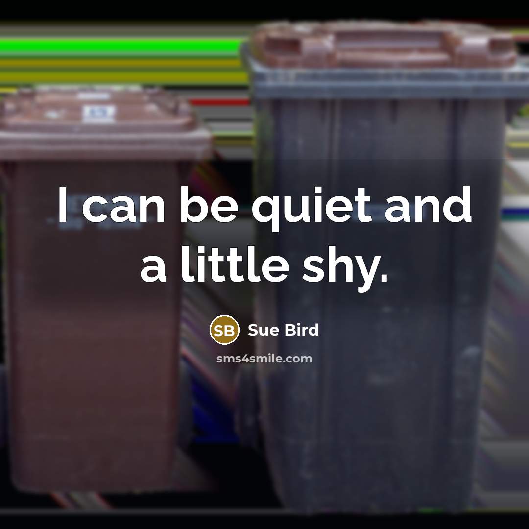 “I can be quiet and a little shy.” quote by Sue Bird