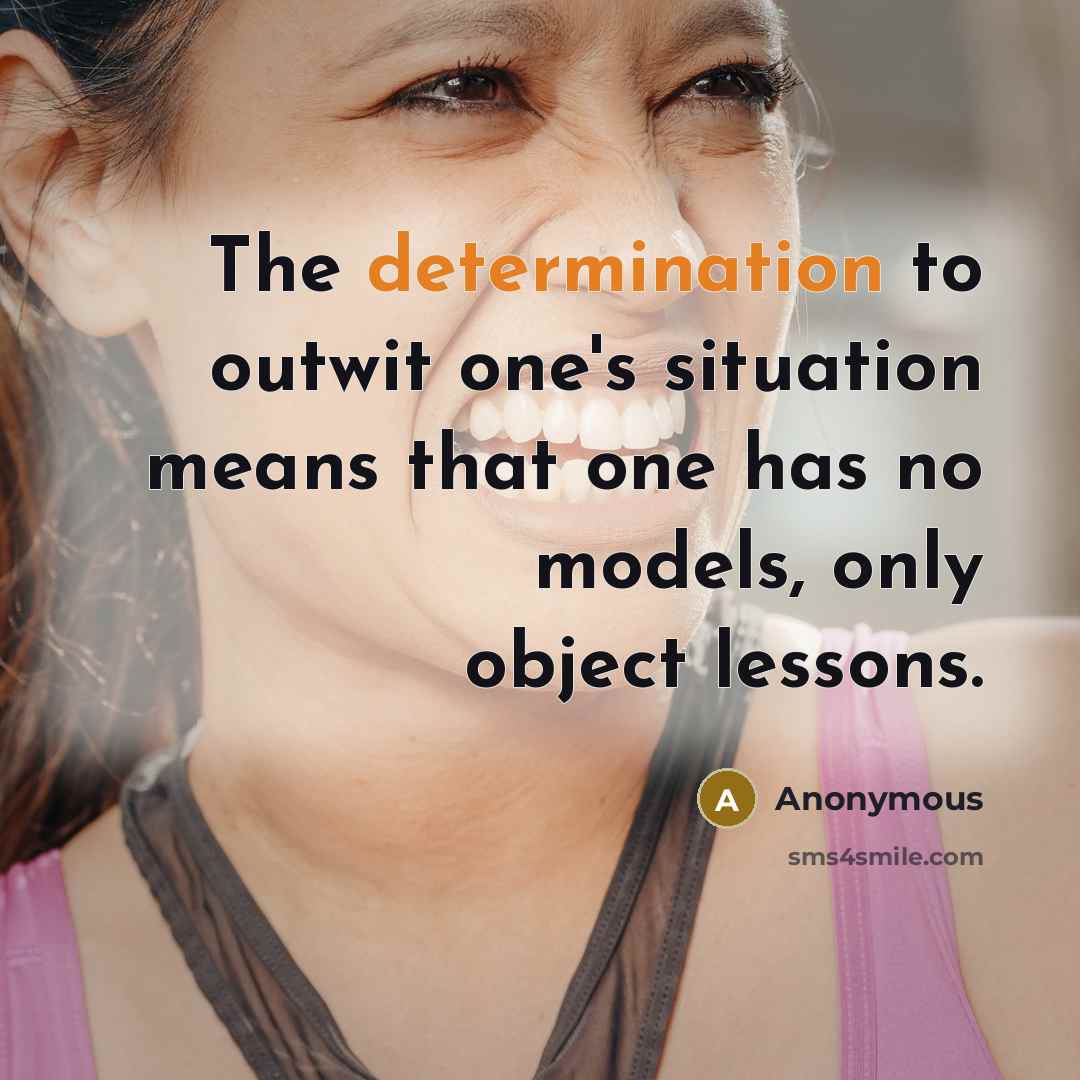 “The determination to outwit one's situation means that one has no models, only object lessons.” quote by Anonymous