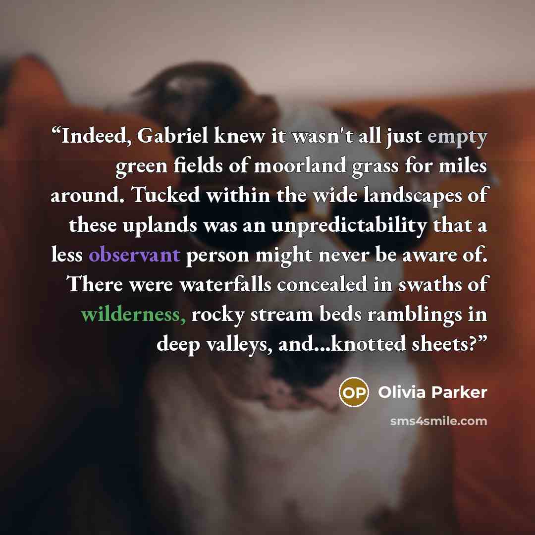 “Indeed, Gabriel knew it wasn't all just empty green fields of moorland grass for miles around. Tucked within the wide landscapes of these uplands was an unpredictability that a less observant person might never be aware of. There were waterfalls concealed in swaths of wilderness, rocky stream beds…” quote by Olivia Parker