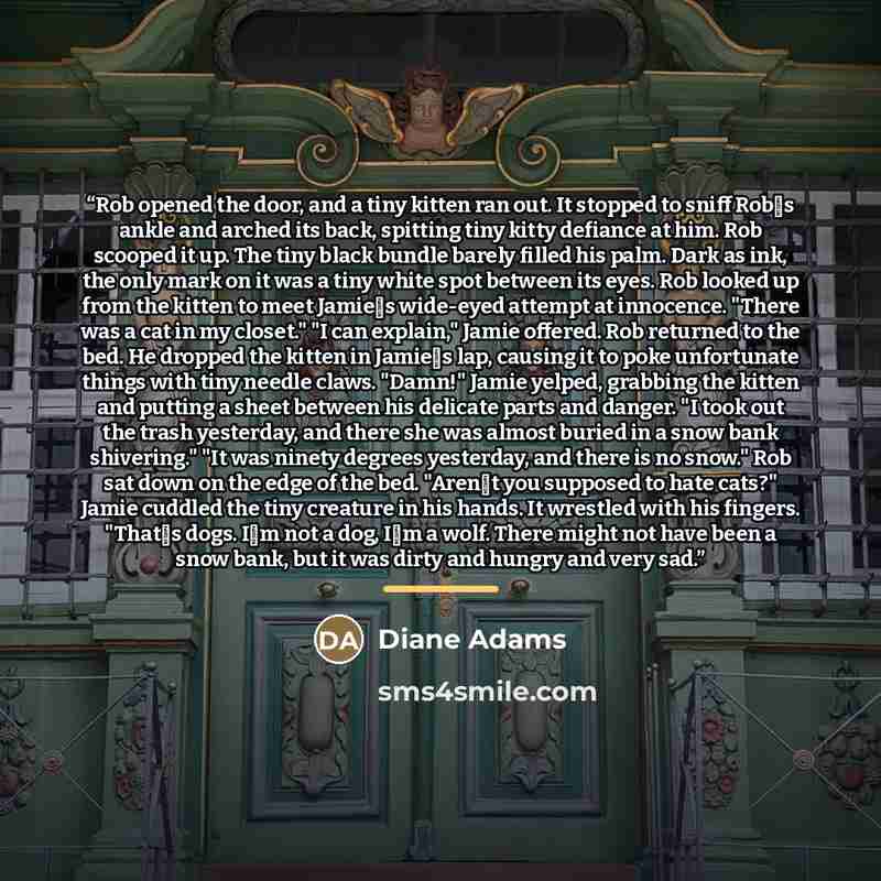 “Rob opened the door, and a tiny kitten ran out. It stopped to sniff Rob‟s ankle and arched its back, spitting tiny kitty defiance at him. Rob scooped it up. The tiny black bundle barely filled his palm. Dark as ink, the only mark on it was a tiny white spot between its eyes. Rob looked up from the…” quote by Diane Adams