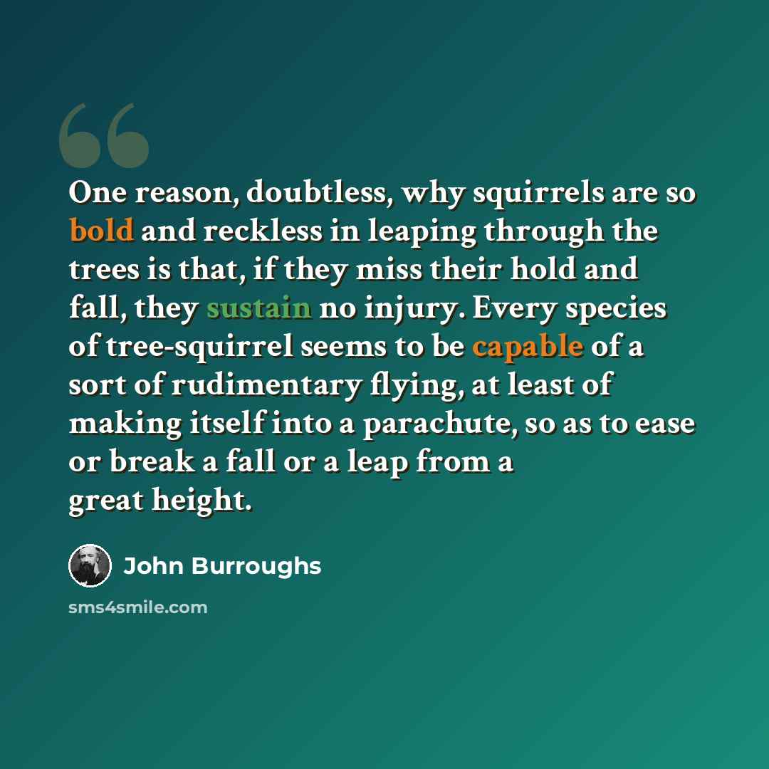 “One reason, doubtless, why squirrels are so bold and reckless in leaping through the trees is that, if they miss their hold and fall, they sustain no injury. Every species of tree-squirrel seems to be capable of a sort of rudimentary flying, at least of making itself into a parachute, so as to…” quote by John Burroughs