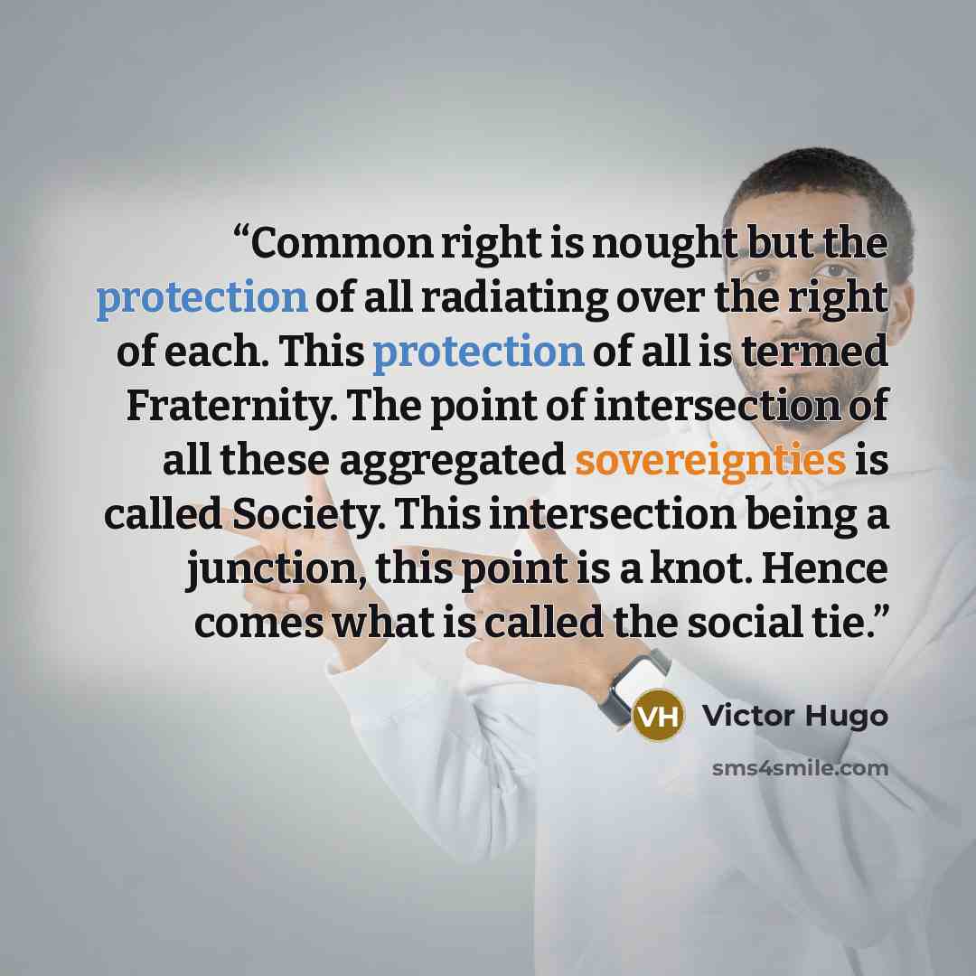 “Common right is nought but the protection of all radiating over the right of each. This protection of all is termed Fraternity. The point of intersection of all these aggregated sovereignties is called Society. This intersection being a junction, this point is a knot. Hence comes what is called…” quote by Victor Hugo