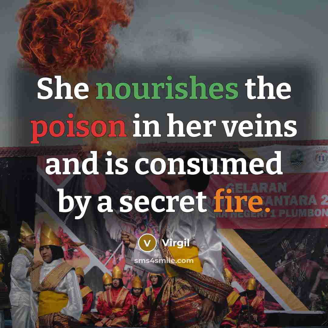 “She nourishes the poison in her veins and is consumed by a secret fire.” quote by Virgil