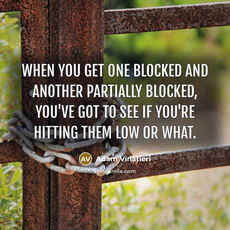 “When you get one blocked and another partially blocked, you've got to see if you're hitting them low or what.” quote by Adam Vinatieri