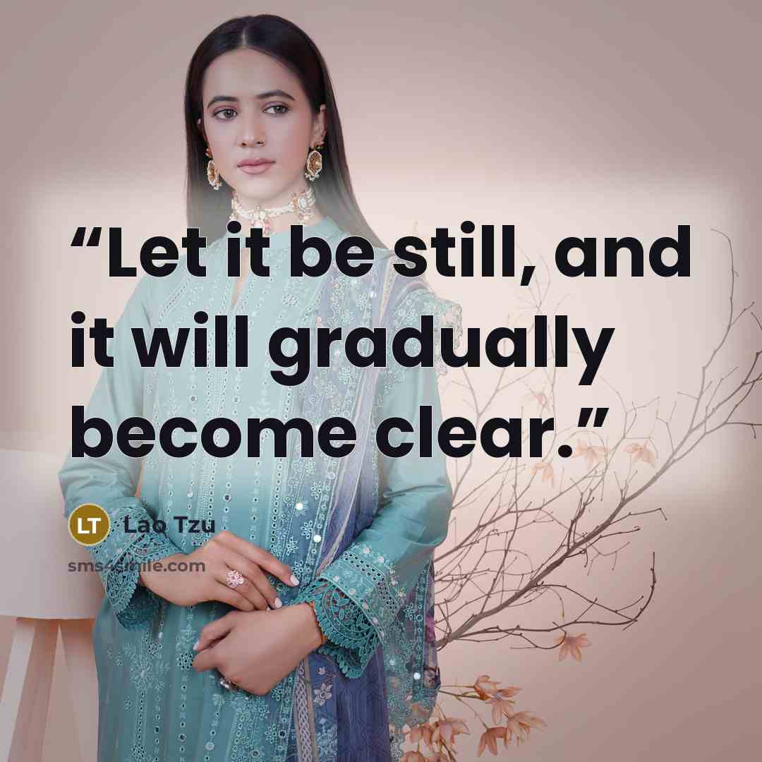 “Let it be still, and it will gradually become clear.” quote by Lao Tzu