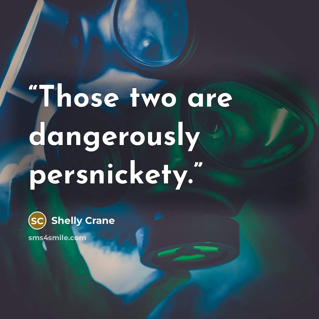 “Those two are dangerously persnickety.” quote by Shelly Crane